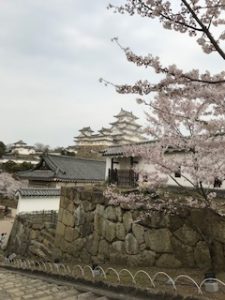 桜満喫山陰の旅