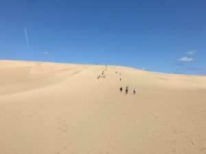桜満喫山陰の旅　2