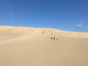 桜満喫山陰の旅　2