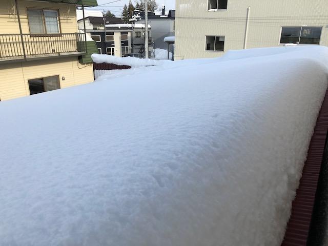 今年初の大雪