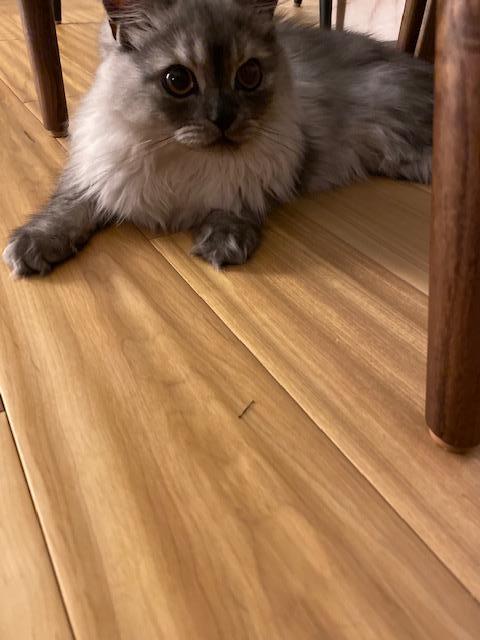 お久しぶりです!琥太郎です。