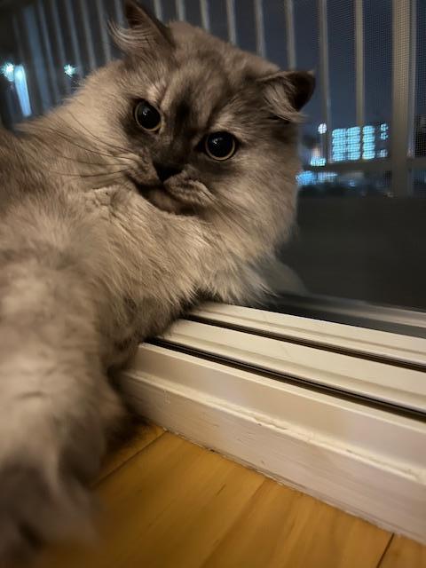今年を振り返って