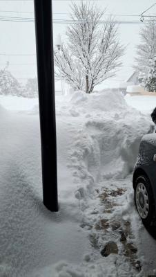 大雪