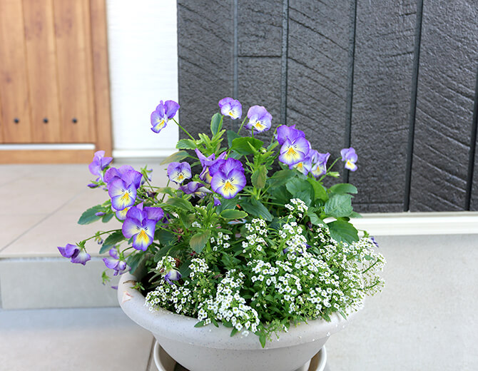 お花